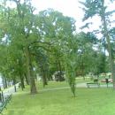 Park Konstytucji 3 Maja w Suwałkach - panoramio
